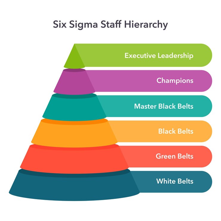 Vector sigma six hierarchy business vector illustration graphic