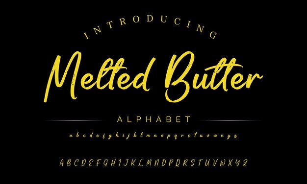 signature Font Calligraphy Logotype Script Brush Font Type Font lettering handwritten