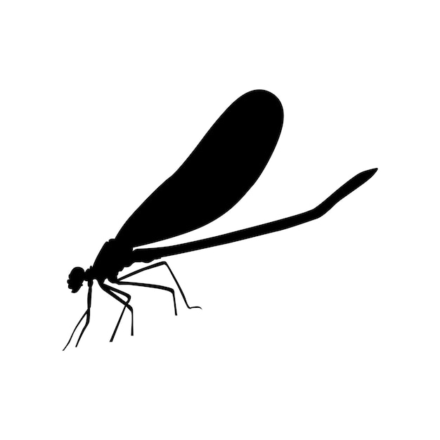 silhouette dragonfly vector illustration on white background