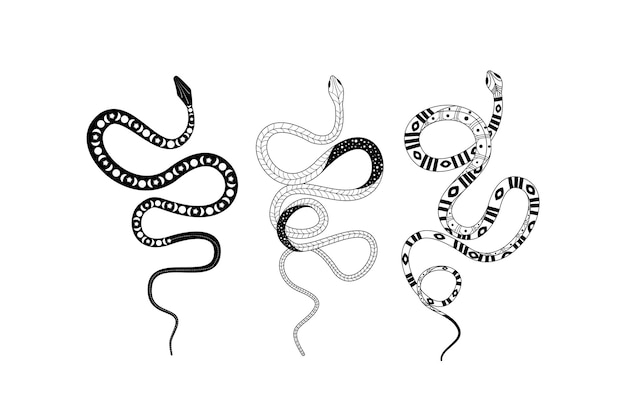 Silhouetted snake designs with intricate details and unique doodling styles in a vector format