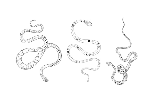 Silhouetted snake designs with intricate details and unique doodling styles in a vector format