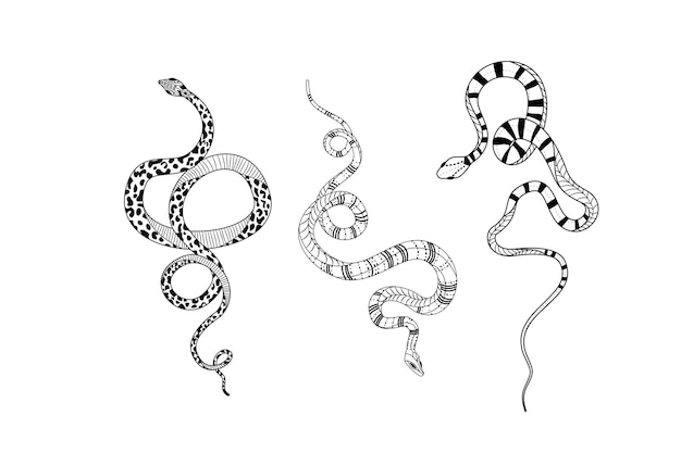 Silhouetted snake designs with intricate details and unique doodling styles in a vector format