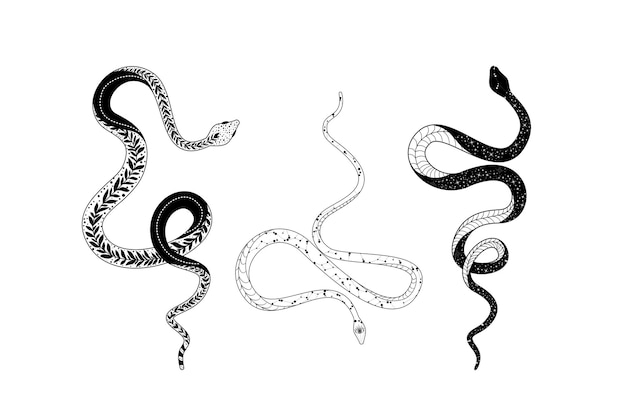 Silhouetted snake designs with intricate details and unique doodling styles in a vector format