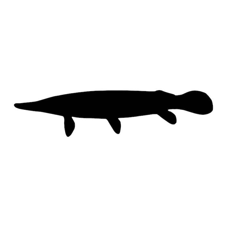 Vector siluet ikan aligator gar ilustrasi vektor hewan