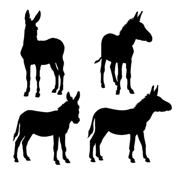 Vector siluet keledai digambar tangan