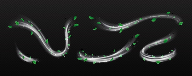 Vector silver dust and small leaves whirls vector illustration set