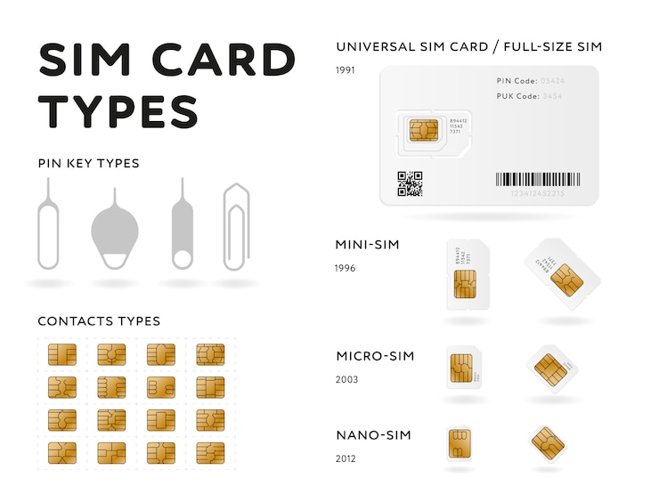 Vector sim card types infographics in flat style