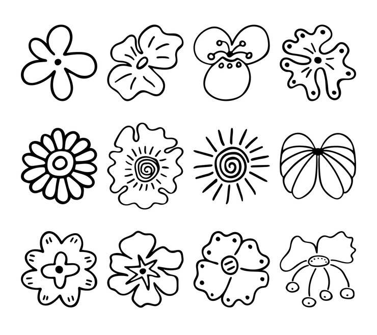 Sketchy linear image of silhouettes of flowers Hand drawn drawing of plant buds during flowering