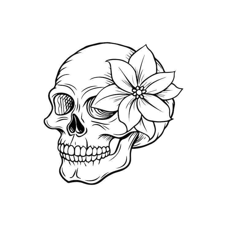 Vector skull line art vector