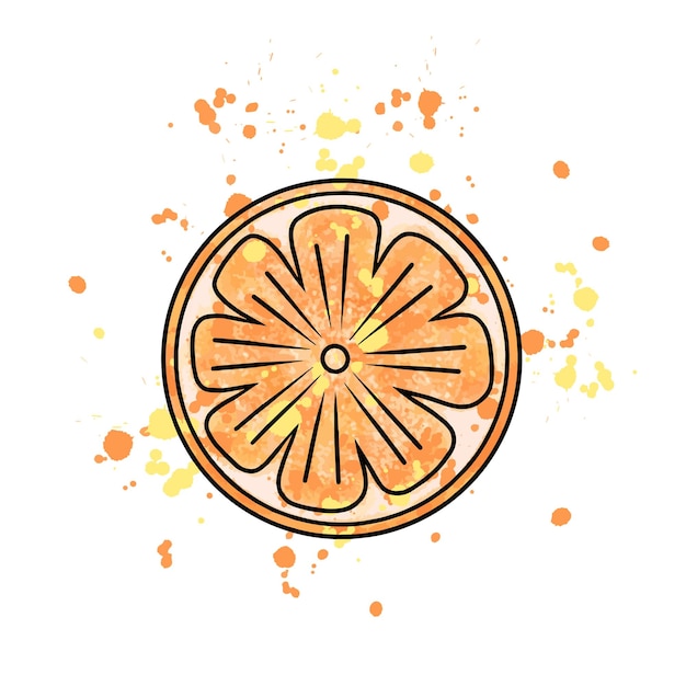 Slice of orange watercolor Digital tracing illustration