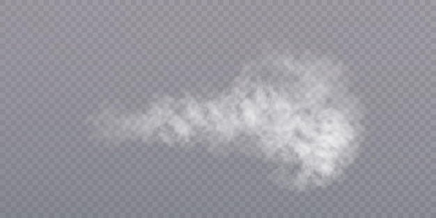Smoke PNG on transparent background Steam effect Vector texture of steam fog cloud smoke