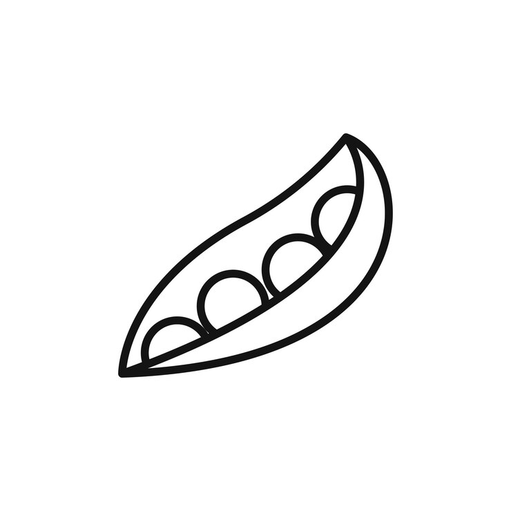 Vector soybean icon symbol on white background