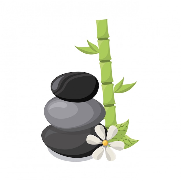 spa design over  white background vector illustration 