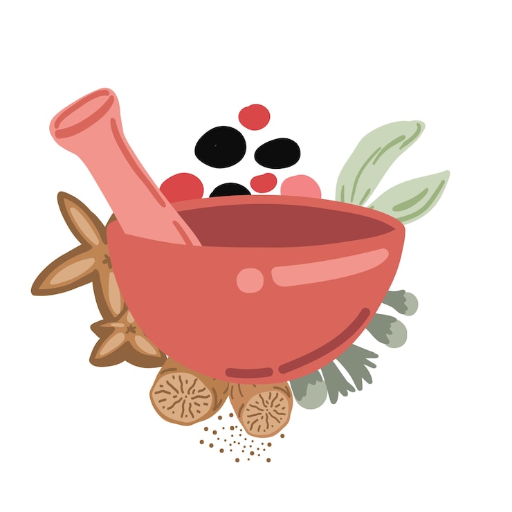 Vector spices mortar cardamon condiment pepper anis flat design set on white background