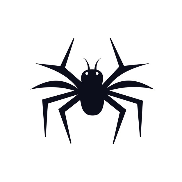 spider isolated on white background
