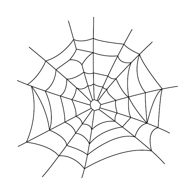 spiderweb4