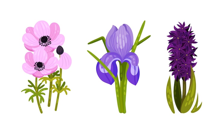 Vector spring flowers on green stem as seasonal botany growing vector set