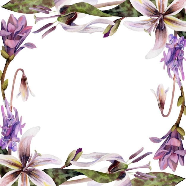 Spring forest flowers white erythronium trout lily purple corydalis vetch orchid mauve magnolia