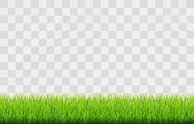 Spring green grass vector png