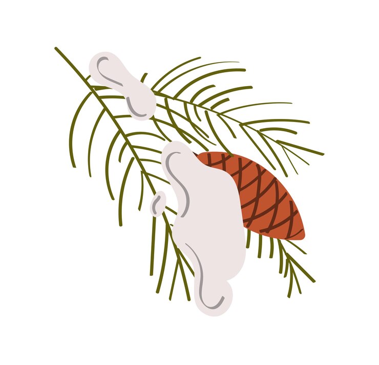 Vector spruce cone on the branch. evergreen tree, vector icon, winter plants, new year wood, holiday decor