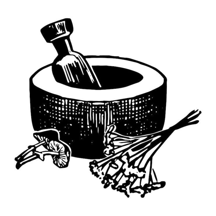 Vector stone mortar and pestle with herbs mushrooms witchcraft kitchen tool ink sketch isolated on white hand drawn vector illustration in retro style