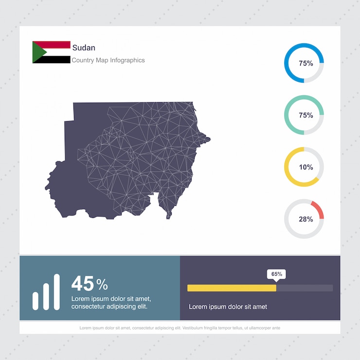 Vector sudan map & flag infographics template