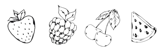 Summer fruits and berries line vector illustration banne raspberry strawberry cherry watermelon juit