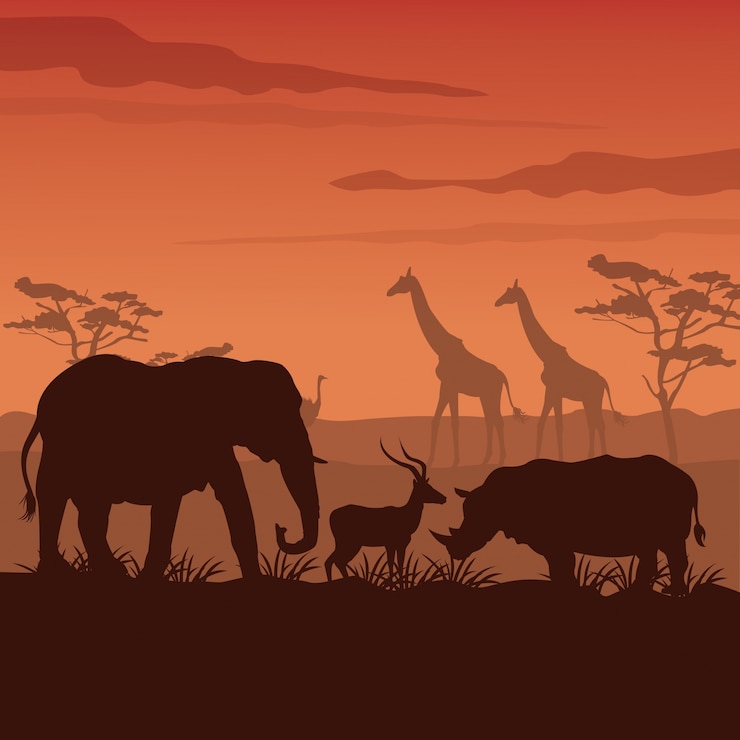 Vector sunset african landscape with silhouette wild animals