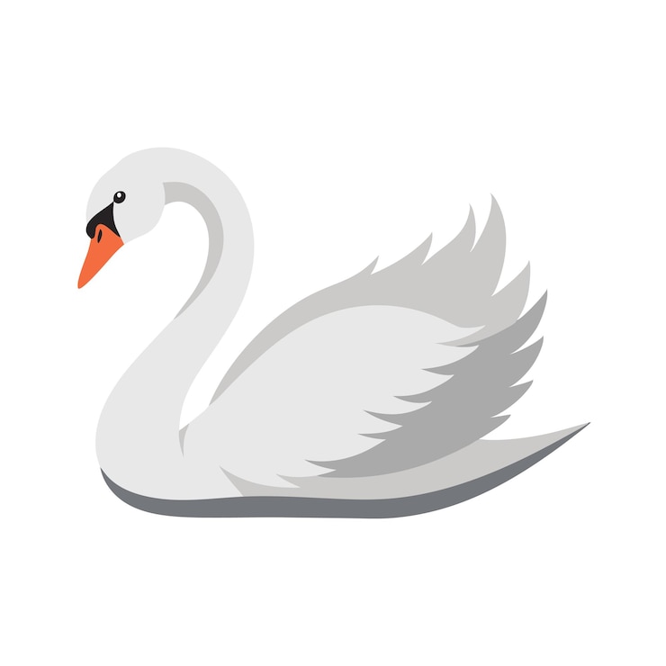 Vector swan animal isolated flat vector illustration on white background