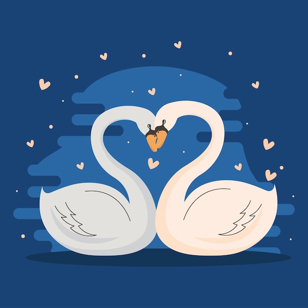 Swans couple lovers