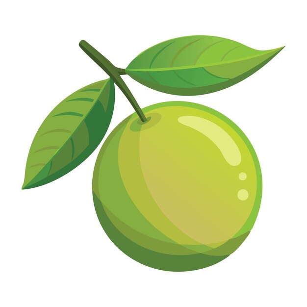 Sweetlime friut fruit flat vector illustration on white background