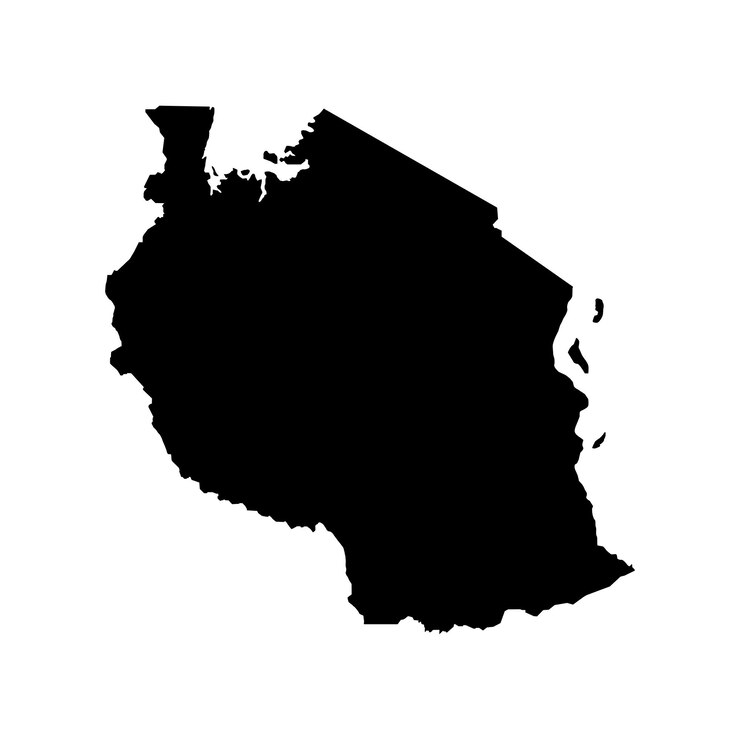 Vector tanzania map icon