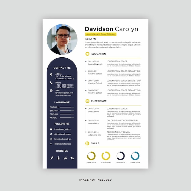 Templat curriculum vitae profesional