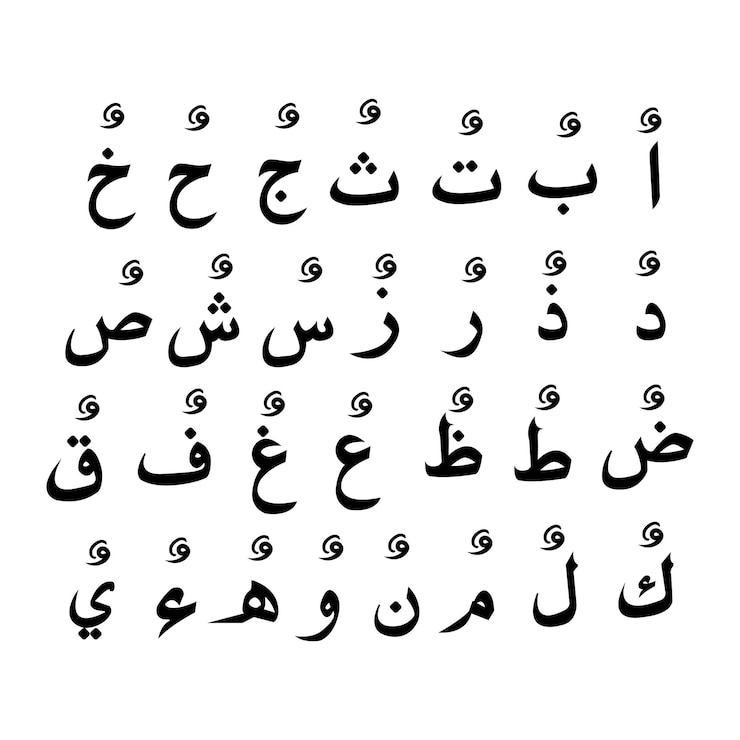 Vector the arabic alphabet with vowel dhammah on white background