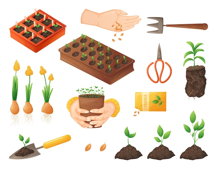 Vector the concept of farming sowing and growing vegetables and fruits young sprouts of plants and flowers gardening equipment set of vector isolated cartoon illustrations
