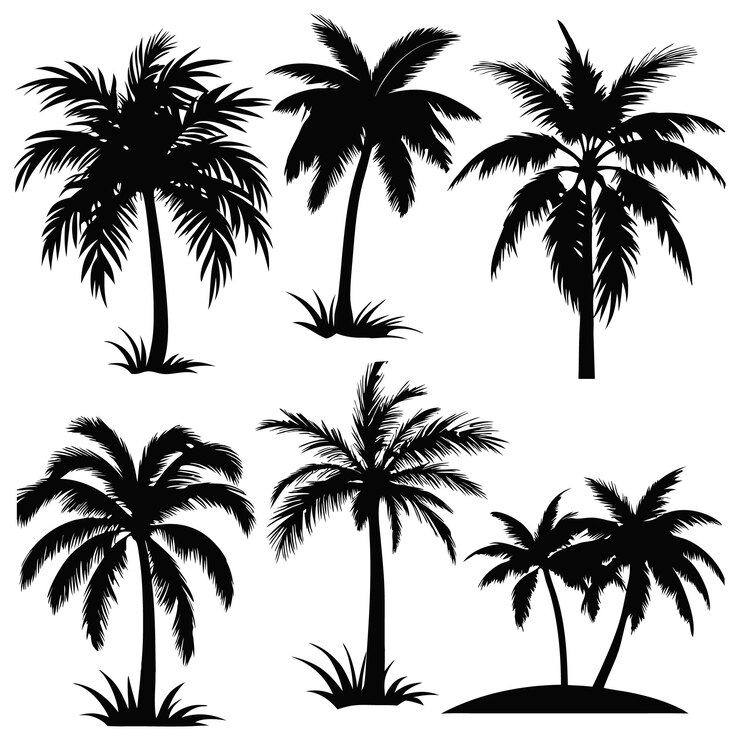 Vector this set of detailed palm and coconut tree silhouette illustration