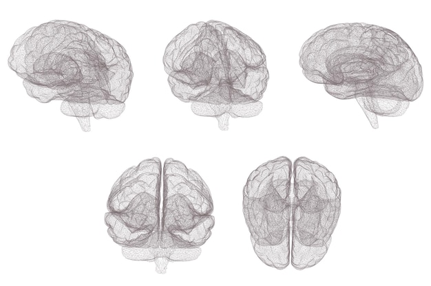 Threedimensional vector cyber brain neural network megadata processing
