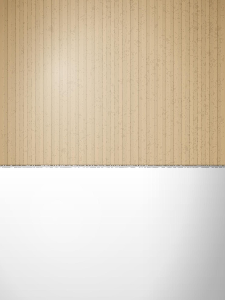Vector torn cardboard background