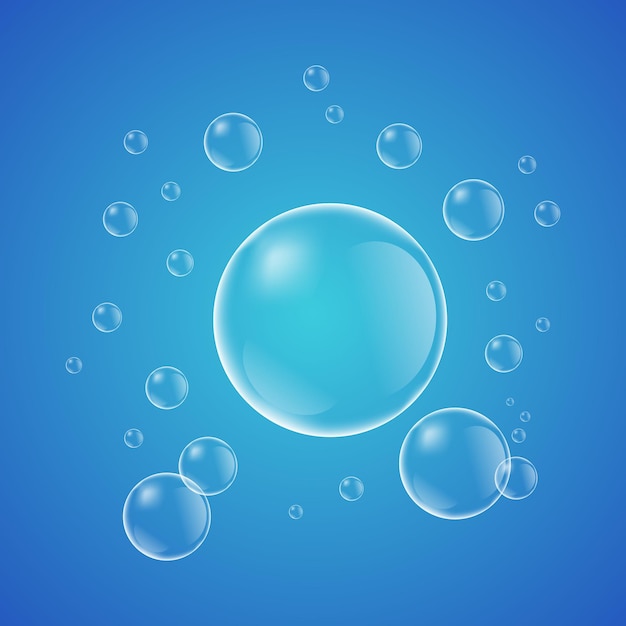 Transparent water bubbles drops isolated on transparent background Vector illustration