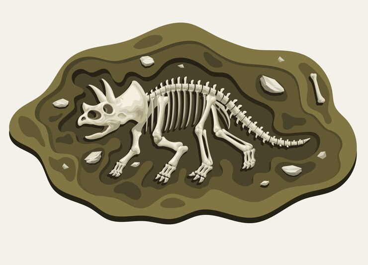 Vector triceratops dinosaurs archaeology fossil cartoon discover in the ground