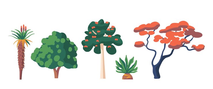 Vector tropical and subtropical rainforest biome natural african rainforest vegetation aloe ferox marula or sclerocarya birrea tulip tree exotic ecosystem plants of africa cartoon vector illustration