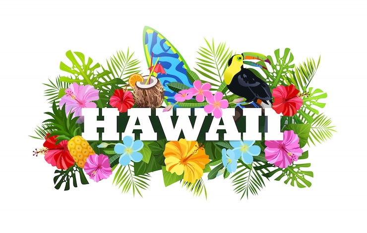 Vector tropical bird composition