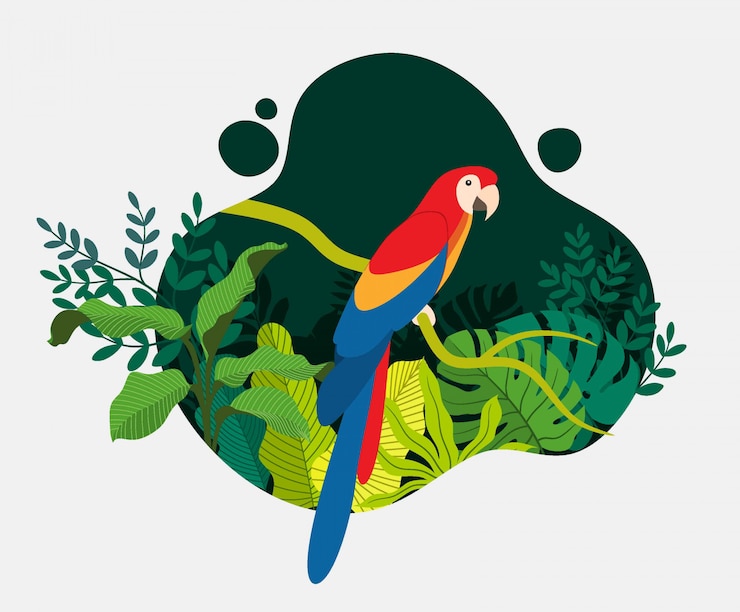 Vector tropical bird parrot cartoon animal