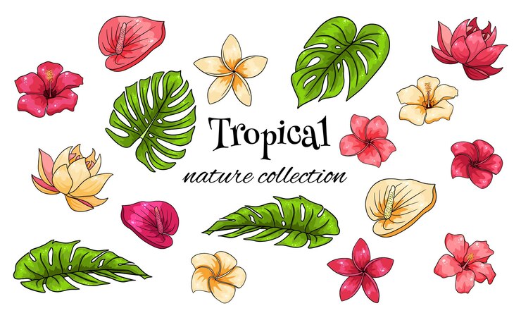 Tropical collection with exotic flowers and carved leaves in cartoon style.