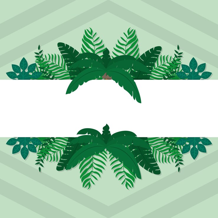 Vector tropical leaves frame