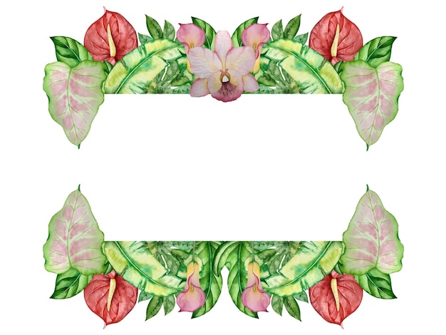tropical plant watercolor decoration illustration square frame