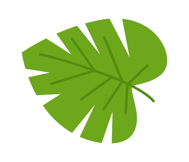 Tropical Tree Leaf Vector illustration