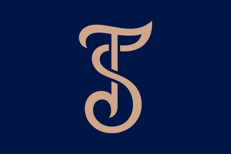 Vector ts letter logo