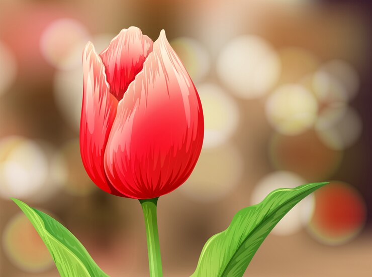 Vector tulip flower on blur background