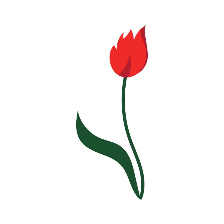 Vector tulips logo vector film icon illustration template design
